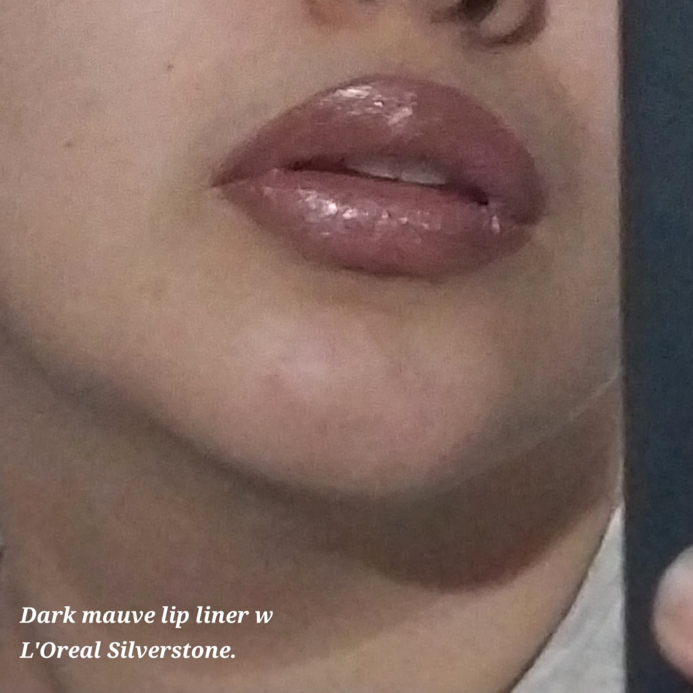 L'Oreal Paris Colour Riche Lipcolour, Peach Fuzz, 1 Count | Amazon (US)