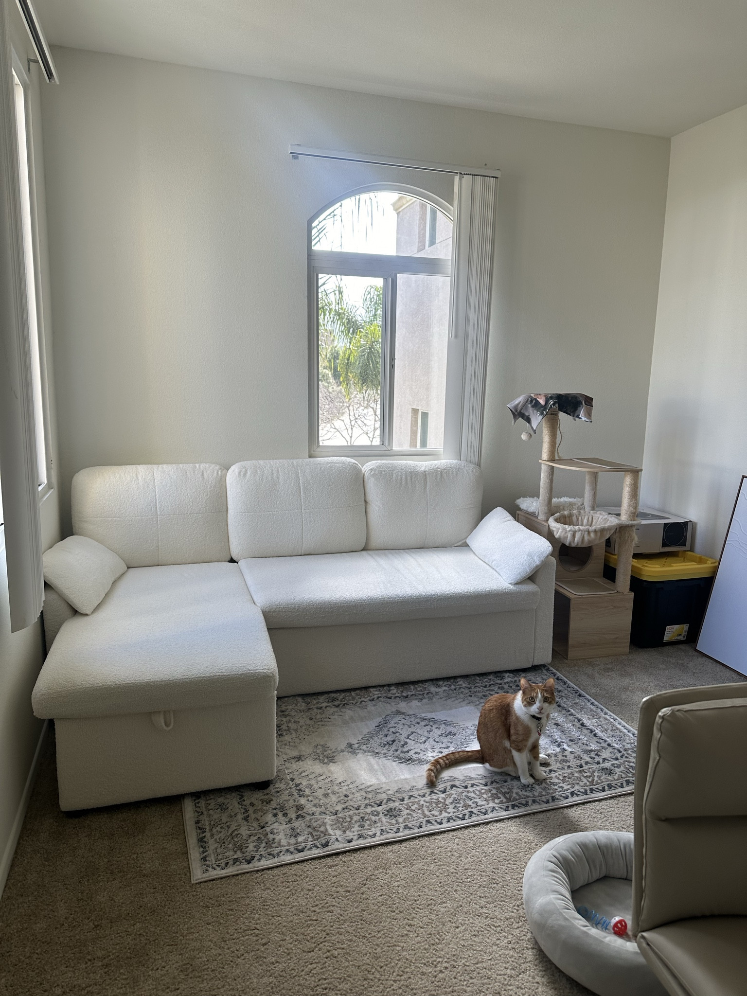 New pull out couch from Wayfair! Super easy to put together!! 

#LTKstyletip #LTKSpringSale #LTKhome