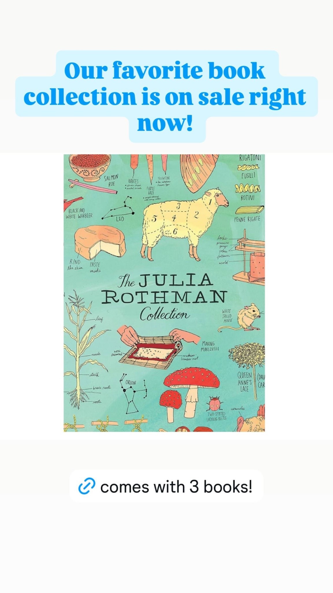 Our favorite book collection is on sale right now! For all the homeschooling families this is a staple in our home! 

#LTKmomlife #LTKKids #LTKFindsUnder50