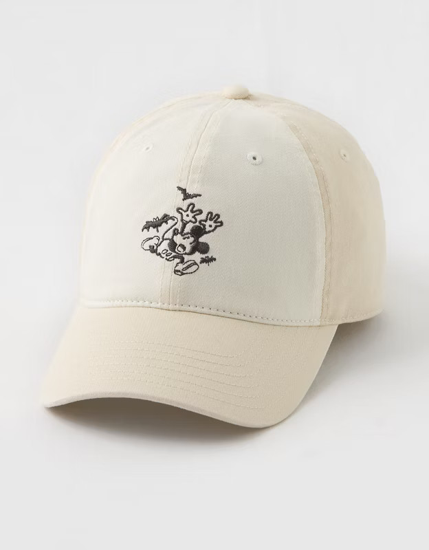 Aerie Colorblock Baseball Hat | American Eagle Outfitters (US & CA)