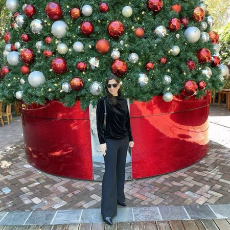 Casual holiday outfit ❤️💚🎄 love these classic trousers and this velvet top for the holiday season ❤️💚❤️💚

#LTKSeasonal #LTKitbag #LTKover40