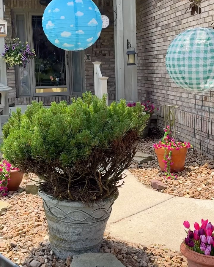 Fake outdoor plants 

#LTKSeasonal #LTKSummerEdit #LTKHome