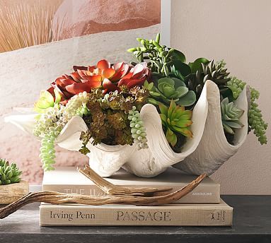 Faux Succulent in Clamshell | Pottery Barn (US)