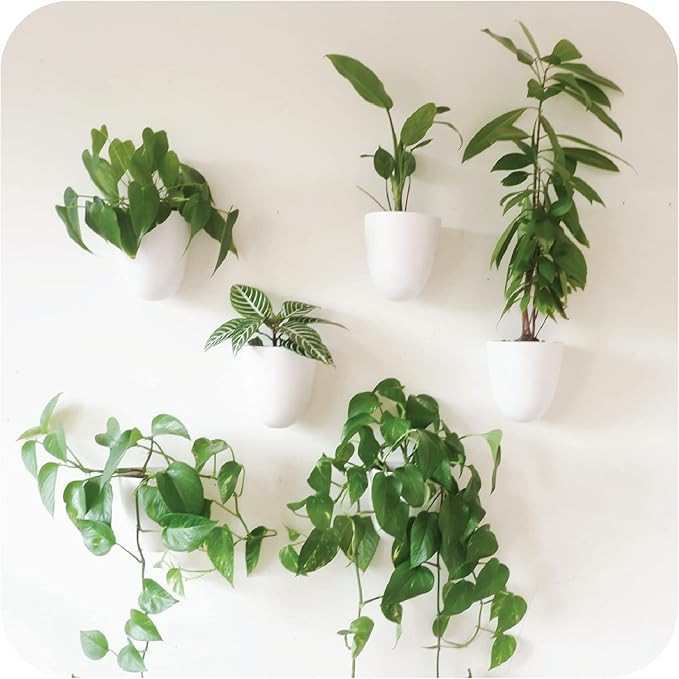 PlantPod Luxe - Self-Watering Wall Planters (Set of 6) - Easy to Water and Install - Lightweight ... | Amazon (US)