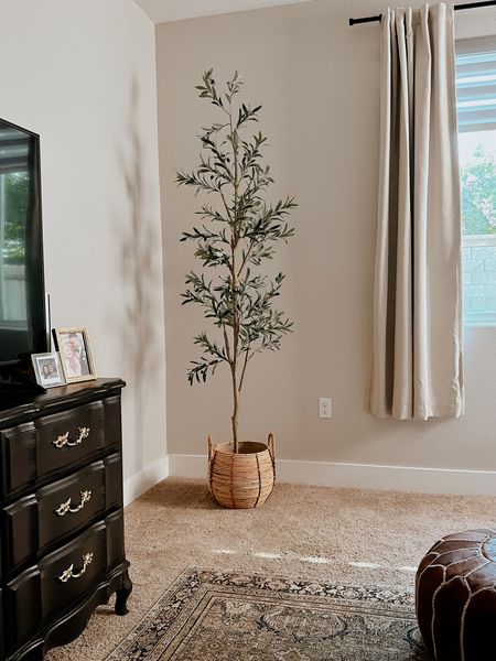 This faux olive tree is perfect in our bedroom. It’s tall and looks nearly real, without being too large for the space. Even better, you can snag it for cheap when they offer the $30 off coupon. 

#LTKsalealert #LTKhome #LTKunder50