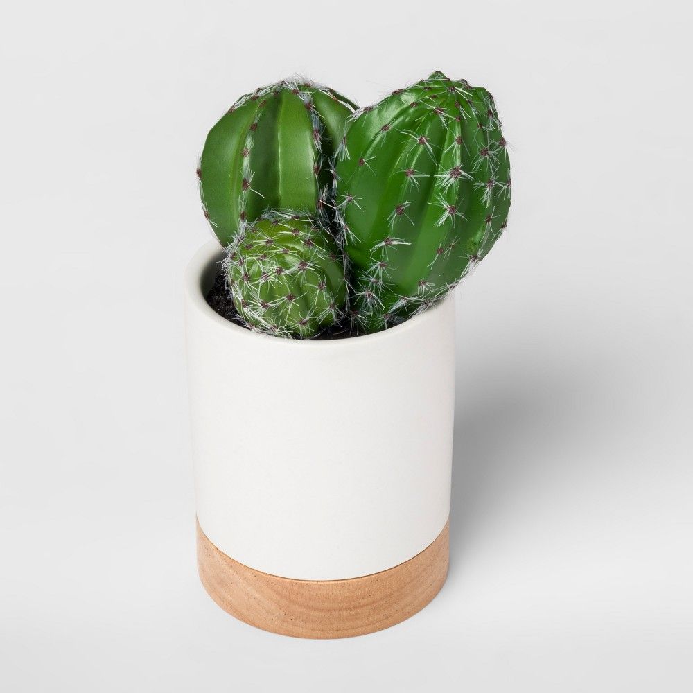 Faux Cactus Plant in White Pot Small - Project 62 | Target
