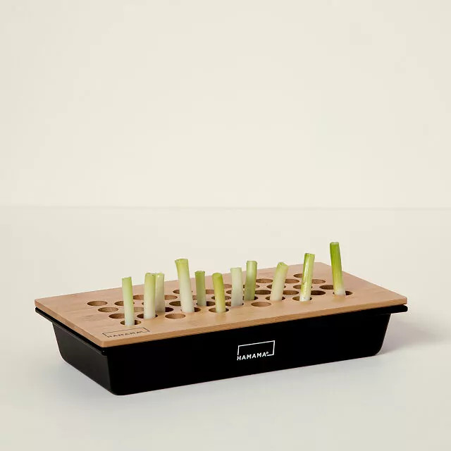 Green Onion Regrower | UncommonGoods