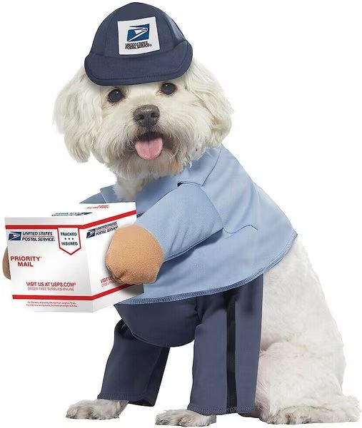 California Costumes USPS Delivery Driver Dog & Cat Costume | Chewy.com