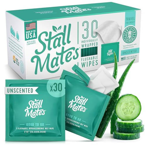 Stall Mates - Flushable Wipes, Individually Wrapped, Travel Friendly, Unscented with Cucumber, Vitamin-E & Aloe, (30 on-the-go singles) | Amazon (US)