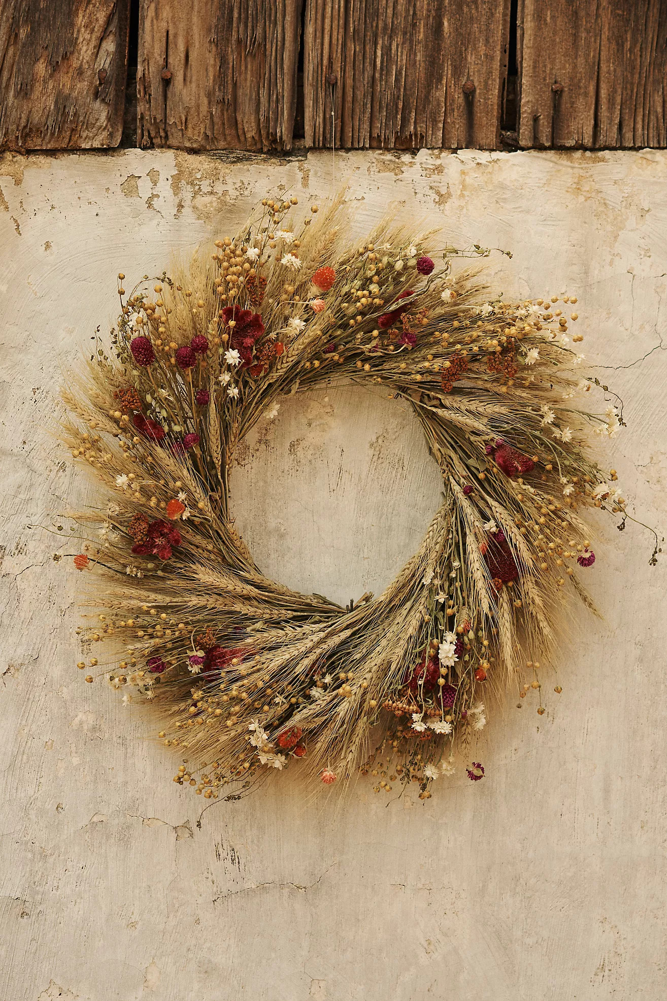 Preserved Garden Gem Wreath | Anthropologie (US)