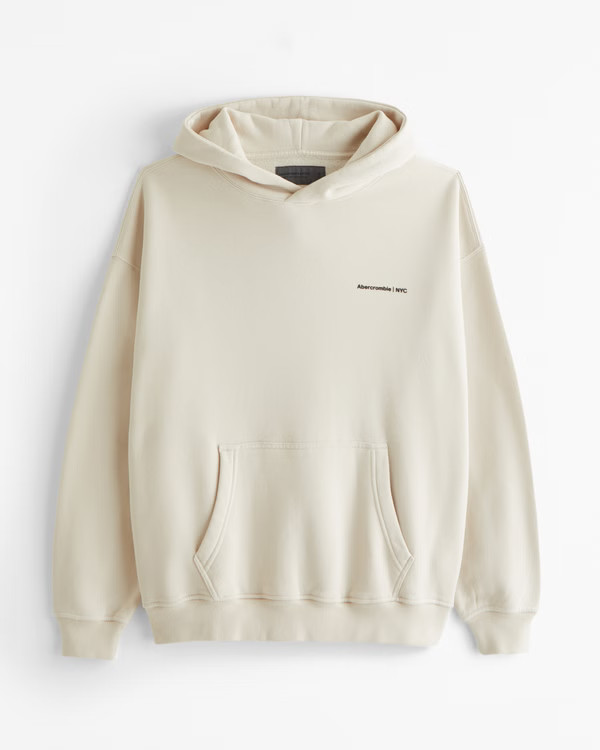 Micro-Logo Popover Hoodie | Abercrombie & Fitch (US)