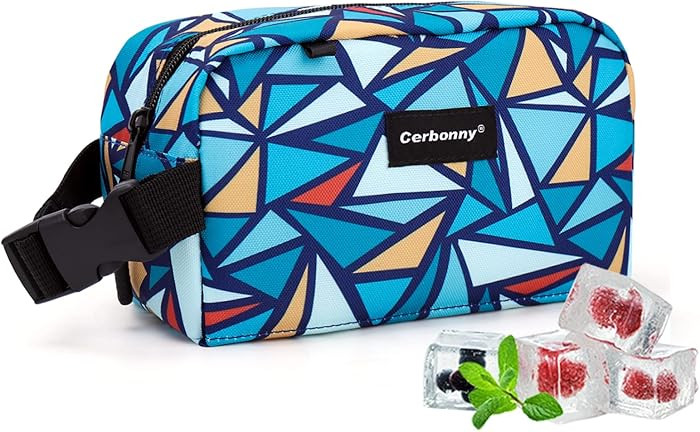 Freezable Lunch Bag,Freezable Snack Bag,Mini Cooler Bag for Travel/Work/School,Small Insulated Ba... | Amazon (US)
