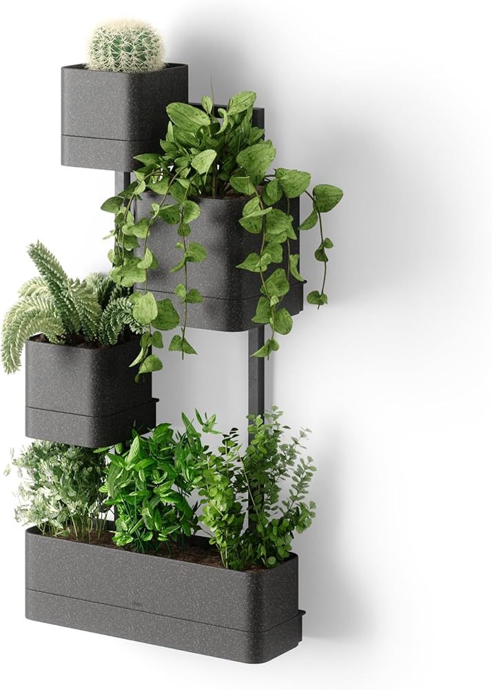 Umbra Cubiko Wall Planter with 4 Lightweight and Durable Pots (Black) | Amazon (US)