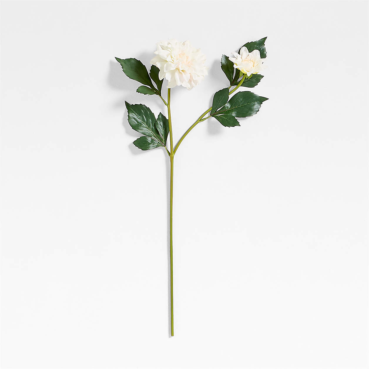 Faux Cream Dahlia Stem 24" + Reviews | Crate & Barrel | Crate & Barrel
