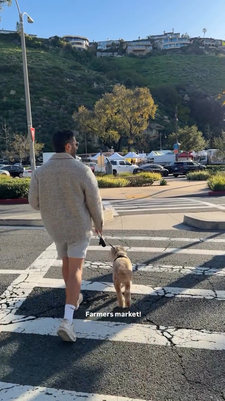 Cort’s outfit linked! & Mylo’s leash/harness! #kathleenpost



#LTKTravel #LTKSeasonal #LTKMens