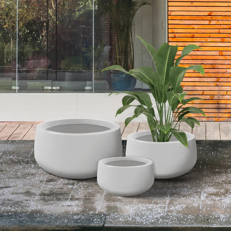 Tali 3 Piece 19.6", 15.7", and 11.8"W Round Concrete Elegant Planters, Outdoor Indoor Modern Plan... | Wayfair North America