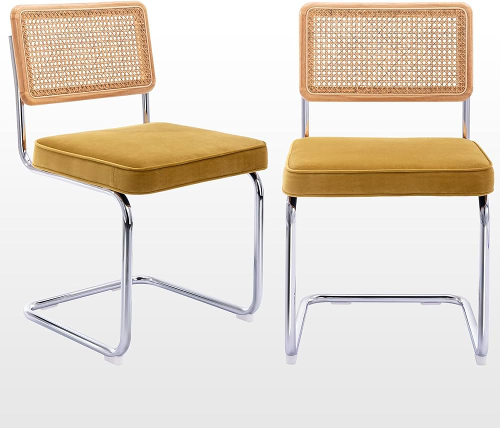 Zesthouse Natural Rattan Dining Chairs Set of 2, Modern Dining Room Chairs with Solid Wood Back f... | Amazon (US)