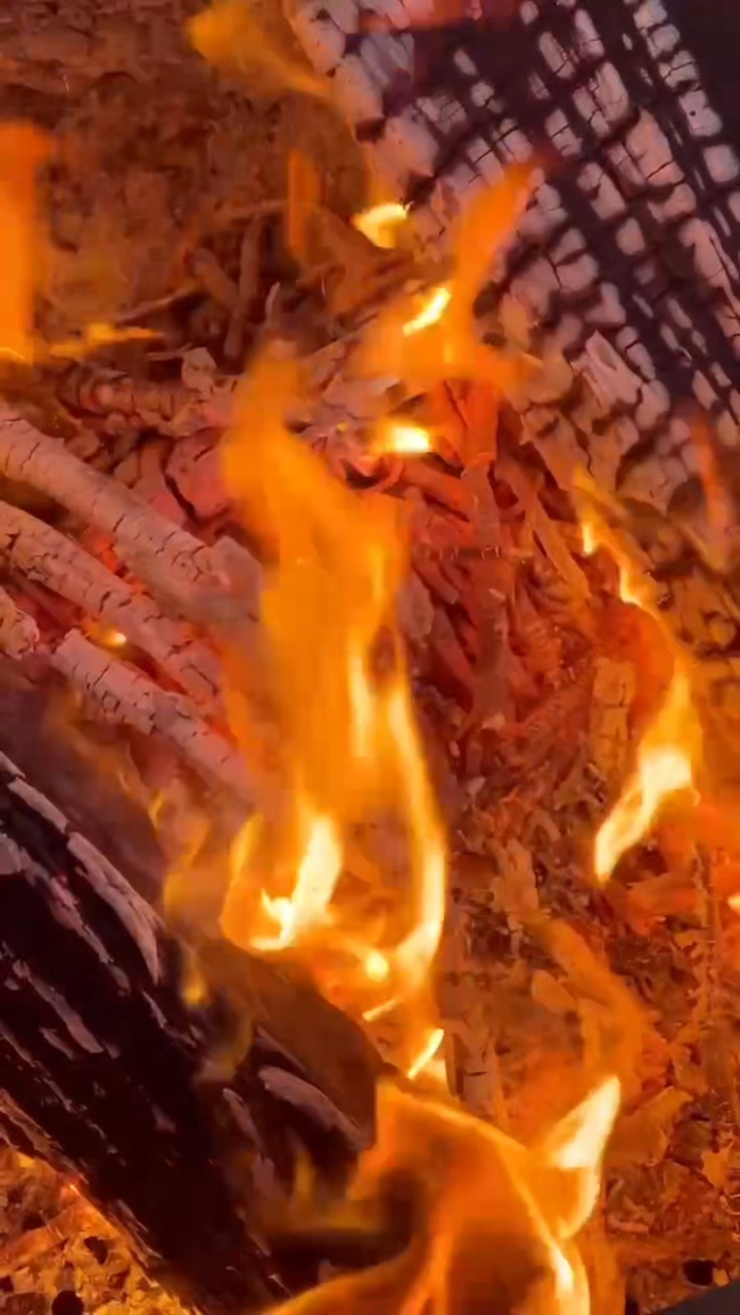 The Solo Stove is a highly efficient wood burning fire without the smoke or cleanup. It’s perfect for backyard gatherings, camping and more

#LTKHome #LTKSaleAlert #LTKSeasonal