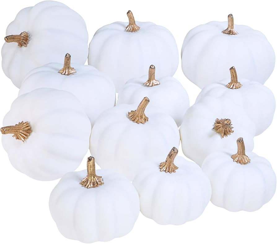 Winlyn 12 Pcs Assorted Small Harvest White Artificial Pumpkins Faux Foam Pumpkins Decorative Whit... | Amazon (US)