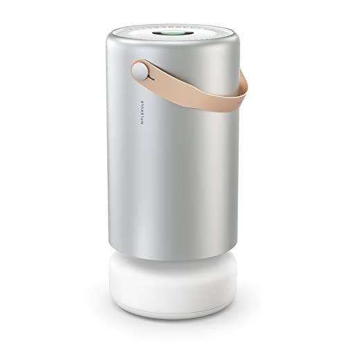 Molekule Air Pro Air Purifier for Large Rooms up to 1000sq. ft. with PECO Technology, Compatible with Alexa, Eliminates Smoke, Mold, Bacteria & Other Pollutants for Clean Air – Silver (Renewed) | Amazon (US)