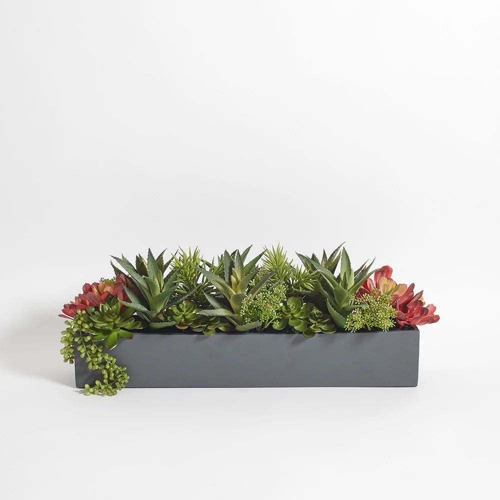 Oblong Faux Succulent Arrangement | CG Hunter | Luxury Faux Plants & Home Decor | CG Hunter