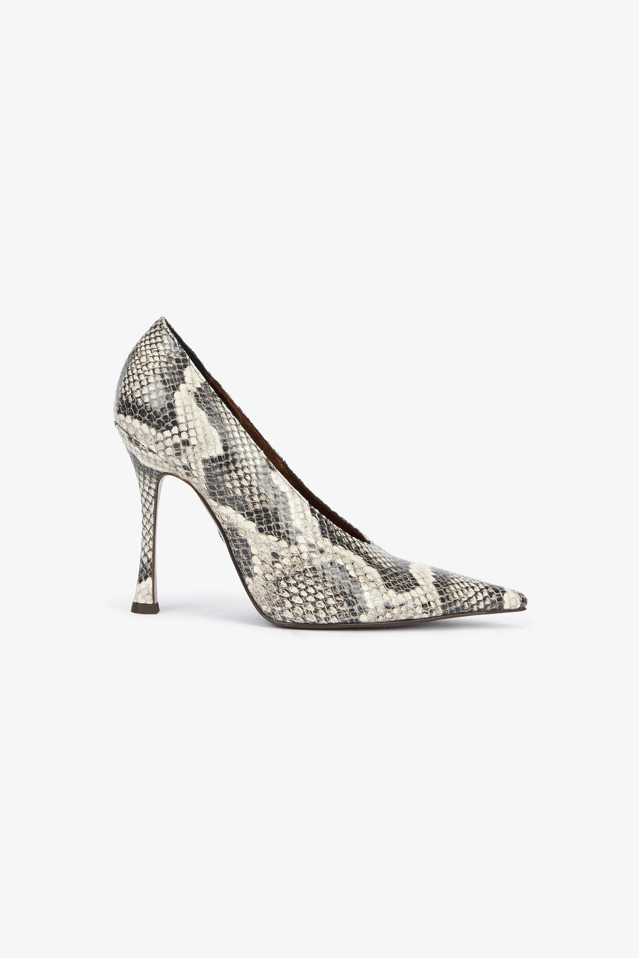 Pumps With Python Print | Roberto Cavalli