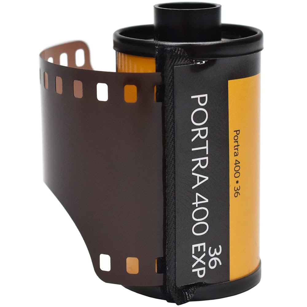 Kodak Portra 400 Color Print 35mm Film - 36 Exposures | Amazon (US)