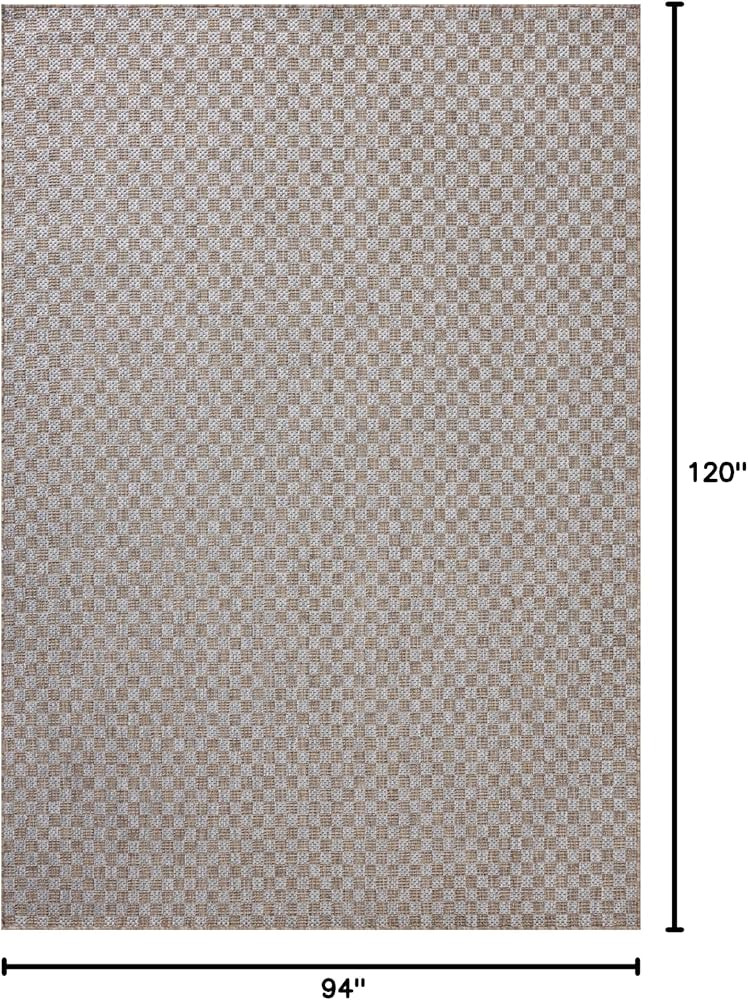Loloi Amber Lewis Topanga Collection TOP-02 Natural/Silver 7'-10" x 10' Indoor/Outdoor Area Rug | Amazon (US)