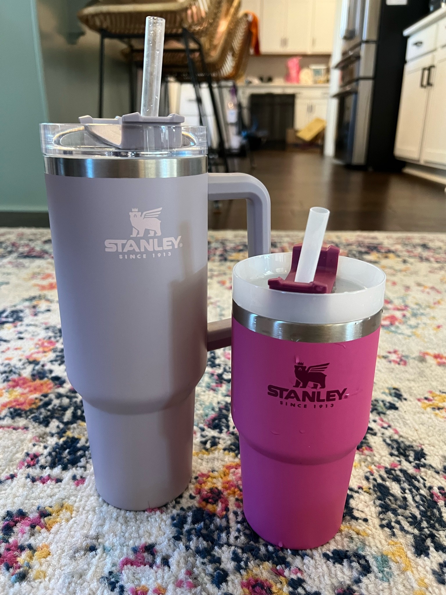 Mama + Mini! Stanley Quencher for everyone in the family! 

#LTKunder50 #LTKhome #LTKHoliday