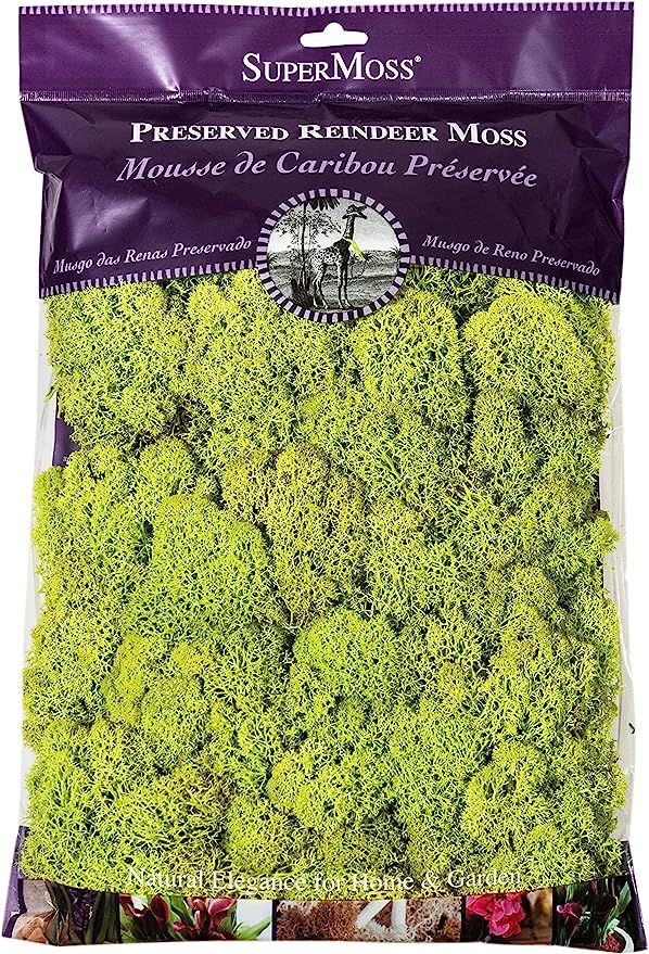 Super Moss 21669 Reindeer Moss Preserved, Chartreuse, 8oz (200 cubic inch) | Amazon (US)