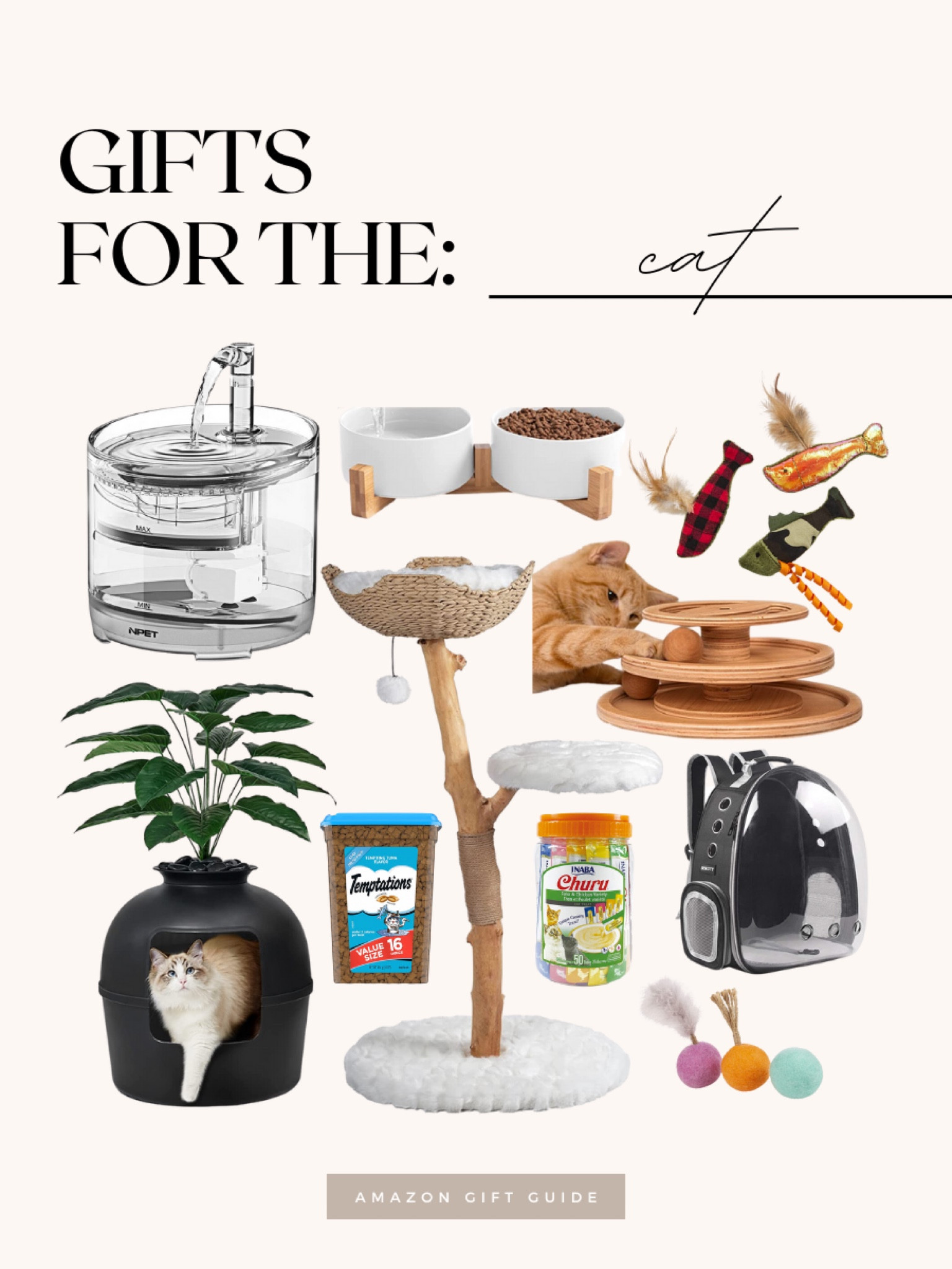 Affordable holiday gifts for your cat! 

#LTKHoliday #LTKhome #LTKGiftGuide