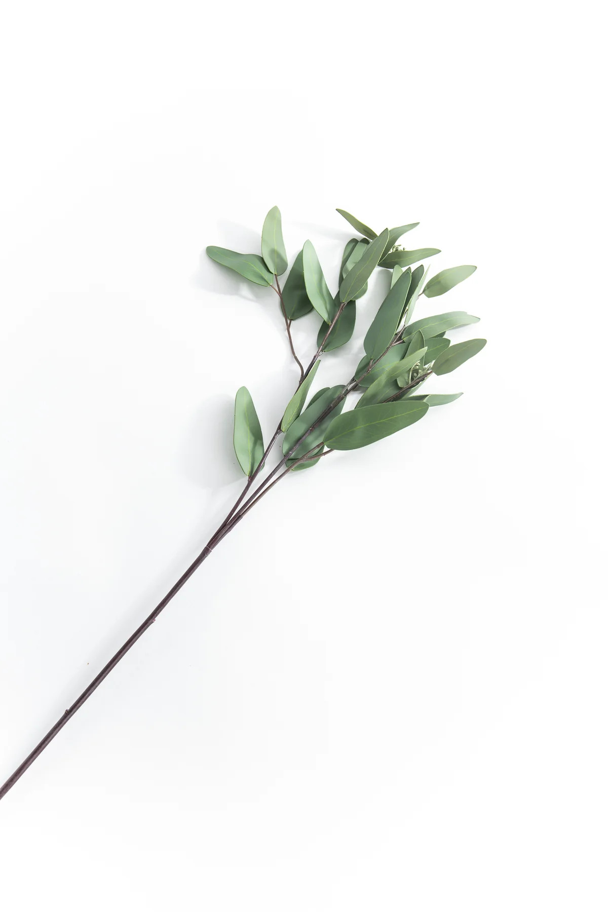 Long Leaf Eucalyptus Spray | Gatehouse No.1