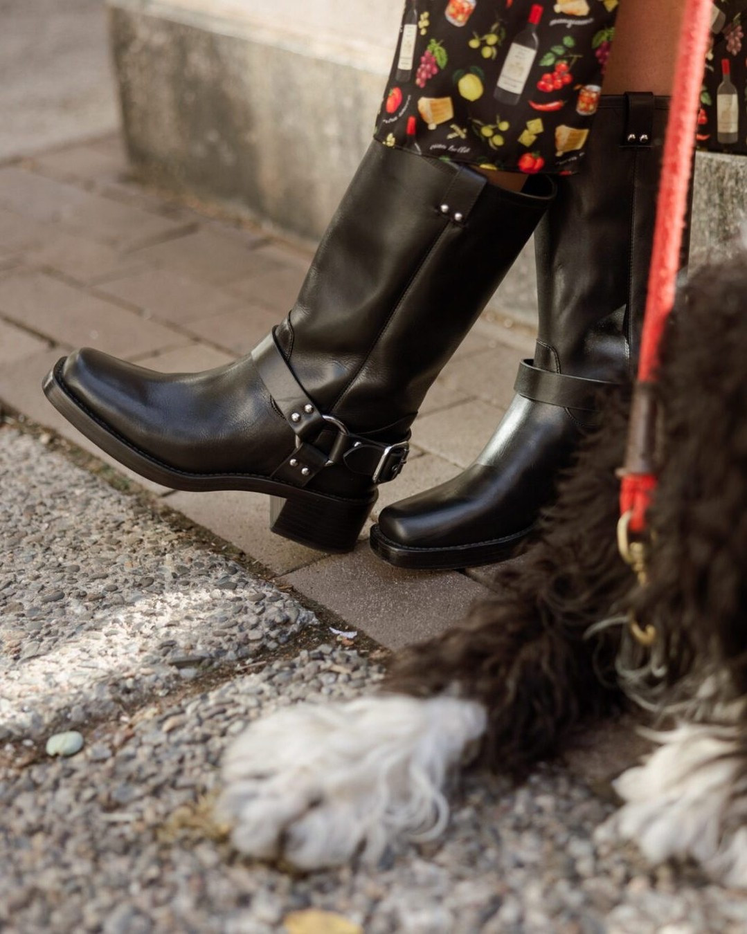 Gang, it's almost time to start talking fall shoes & well, this means that we should talk about what fall 2024 trends we're carrying into fall 2025. Moto boots? I think yes! They're effortlessly cool + comfortable. Rounded up a few styles for 2025!
