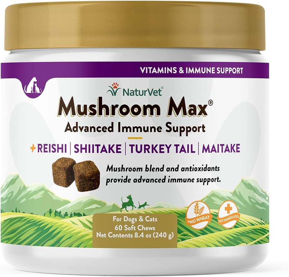 NaturVet Mushroom Max Advanced Immune Support Dog Supplement – Helps Strengthen Immunity, Overa... | Amazon (US)