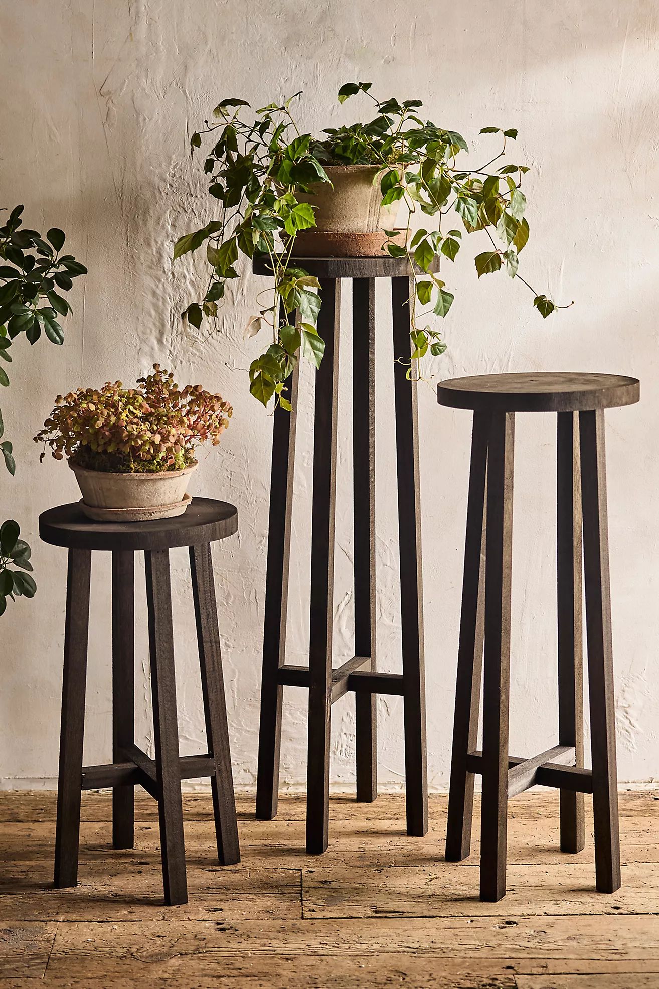 Black Wood Plant Stand | Anthropologie (US)