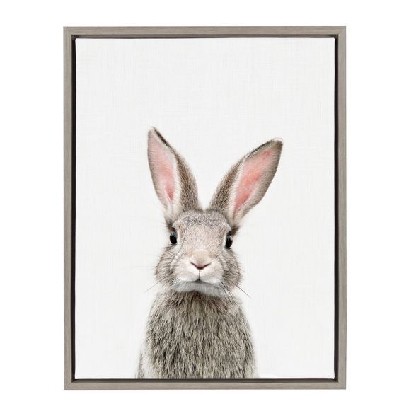 Kate & Laurel 24"x18" Sylvie Female Baby Bunny Rabbit Animal Print Portrait By Amy Peterson Frame... | Target