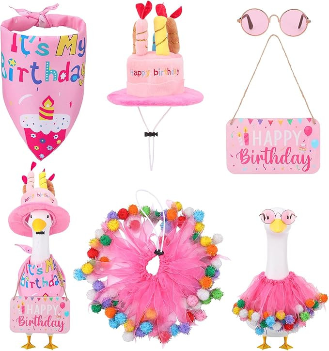 Birthday Porch Goose Outfit Set Birthday Cake Hat Tutu Skirt Scarf Glasses Wooden Sign for Lawn G... | Amazon (US)