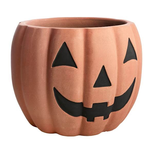 Terracotta Clay Pumpkin Planter, Large | At Home
