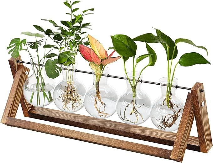 CFMOUR Plant Terrarium with Wooden Stand, Desktop Propagation Stations Glass Air Planter Metal Sw... | Amazon (US)