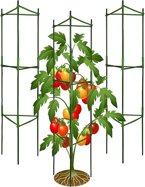 Jxrhy 3Pack Tomato Cages,Up to 51inch Plant Stakes Vegetable Trellis Assembled for Garden Climbin... | Amazon (US)