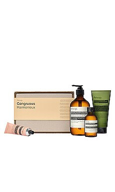 Congrous Elaborate Body Kit
                    
                    Aesop | Revolve Clothing (Global)