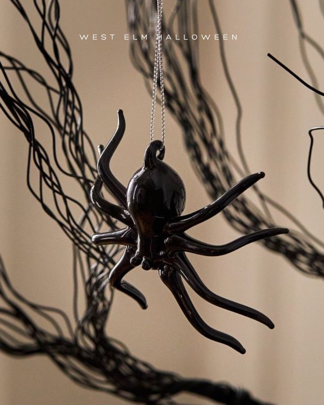 West elm Halloween, LTK Halloween 

#LTKHome #LTKSeasonal #LTKFindsUnder50