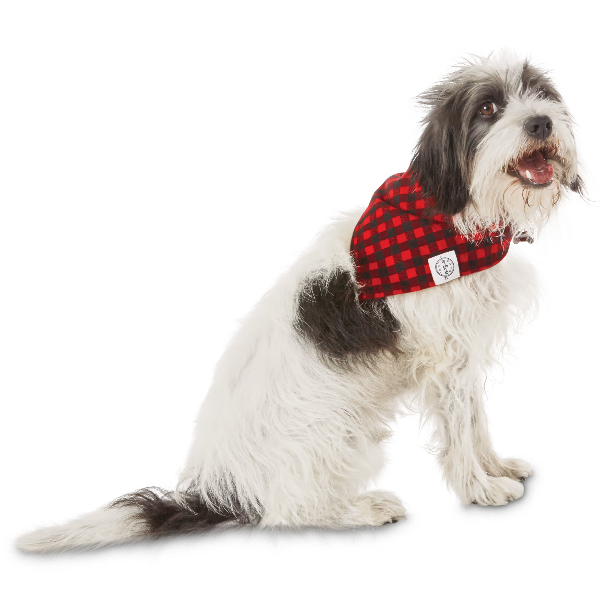 Bond & Co. Buffalo Checkered Dog Bandana,  For Neck Sizes 18-21, Large/Extra Large | Petco