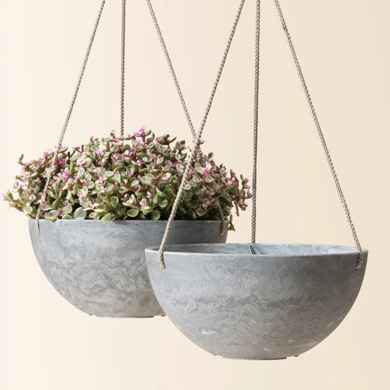 Nova Hanging Planter | Wayfair North America
