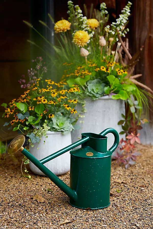 Haws Traditional Watering Can | Terrain
