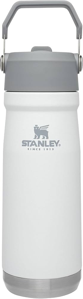 Stanley IceFlow Stainless Steel Bottle with Straw, Vacuum Insulated Water Bottle for Home, Office... | Amazon (US)