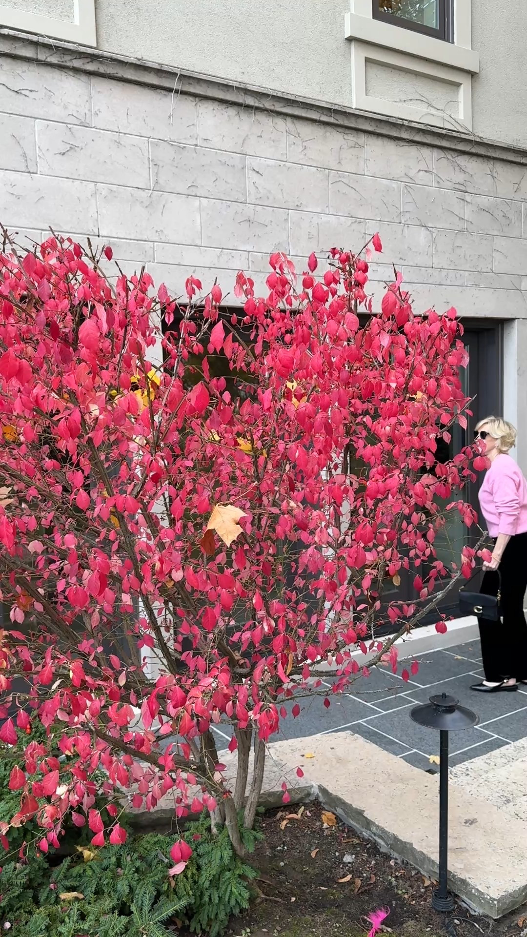 A little pink, a little plush, and very much my kind of everyday chic 💕
This cosy pink sweater paired with black velvet pants from Macy’s feels equal parts comfy and polished—finished off with classic black ballet flats for that easy, no-fuss elegance. Perfect for when you want to feel put together without trying too hard.

#LTKootd #LTKOver40 #LTKSeasonal