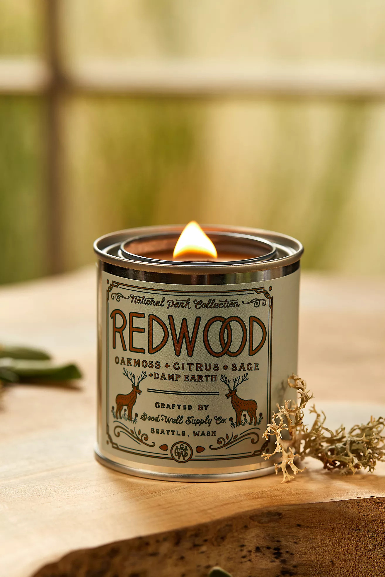 National Park Tin Candle | Anthropologie (US)