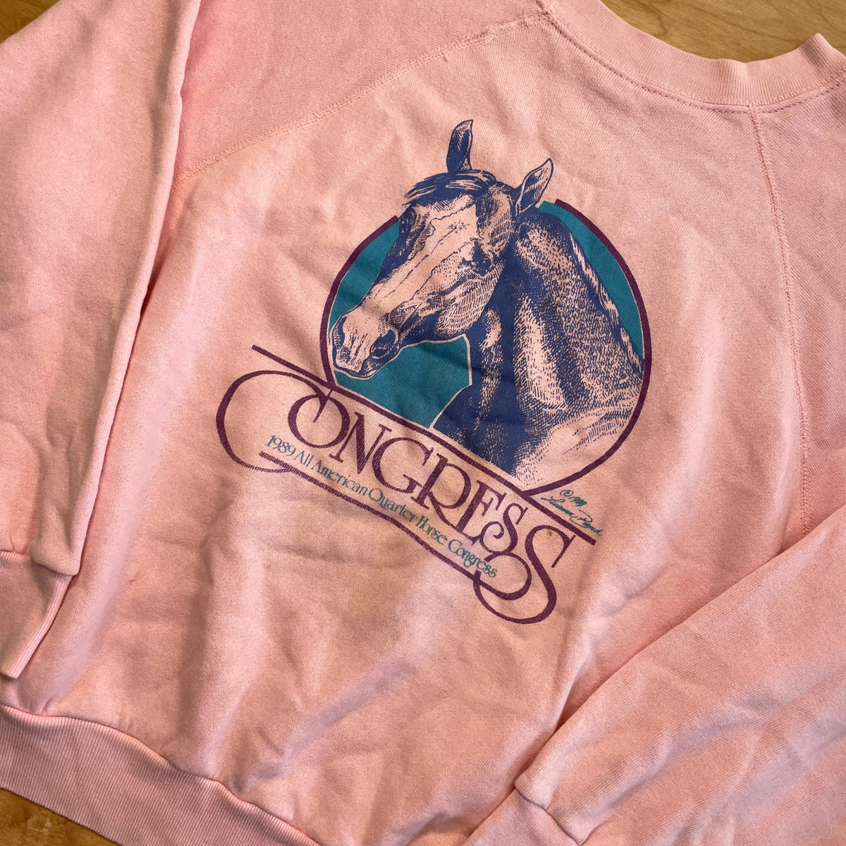 Vintage 80s Horse Nature Animals Pink XL Pullover Sweatshirt  | eBay | eBay US