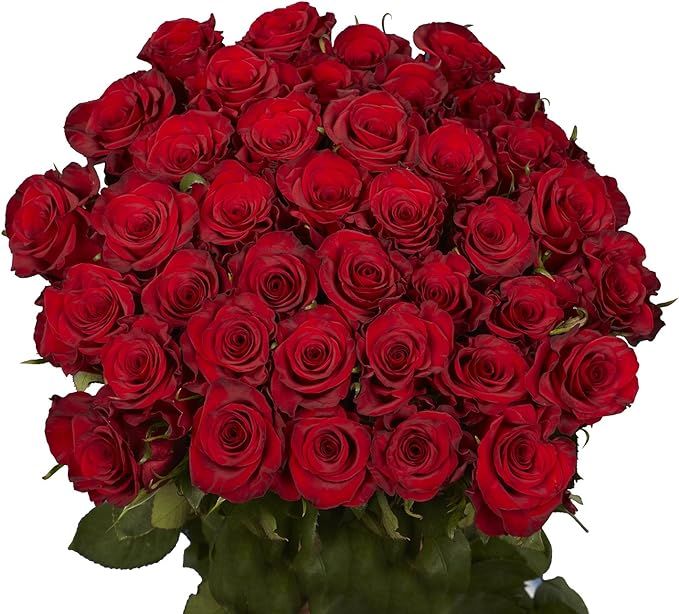 50 Red Roses - Fresh Flower Delivery- Lovely Bright Blooms | Amazon (US)